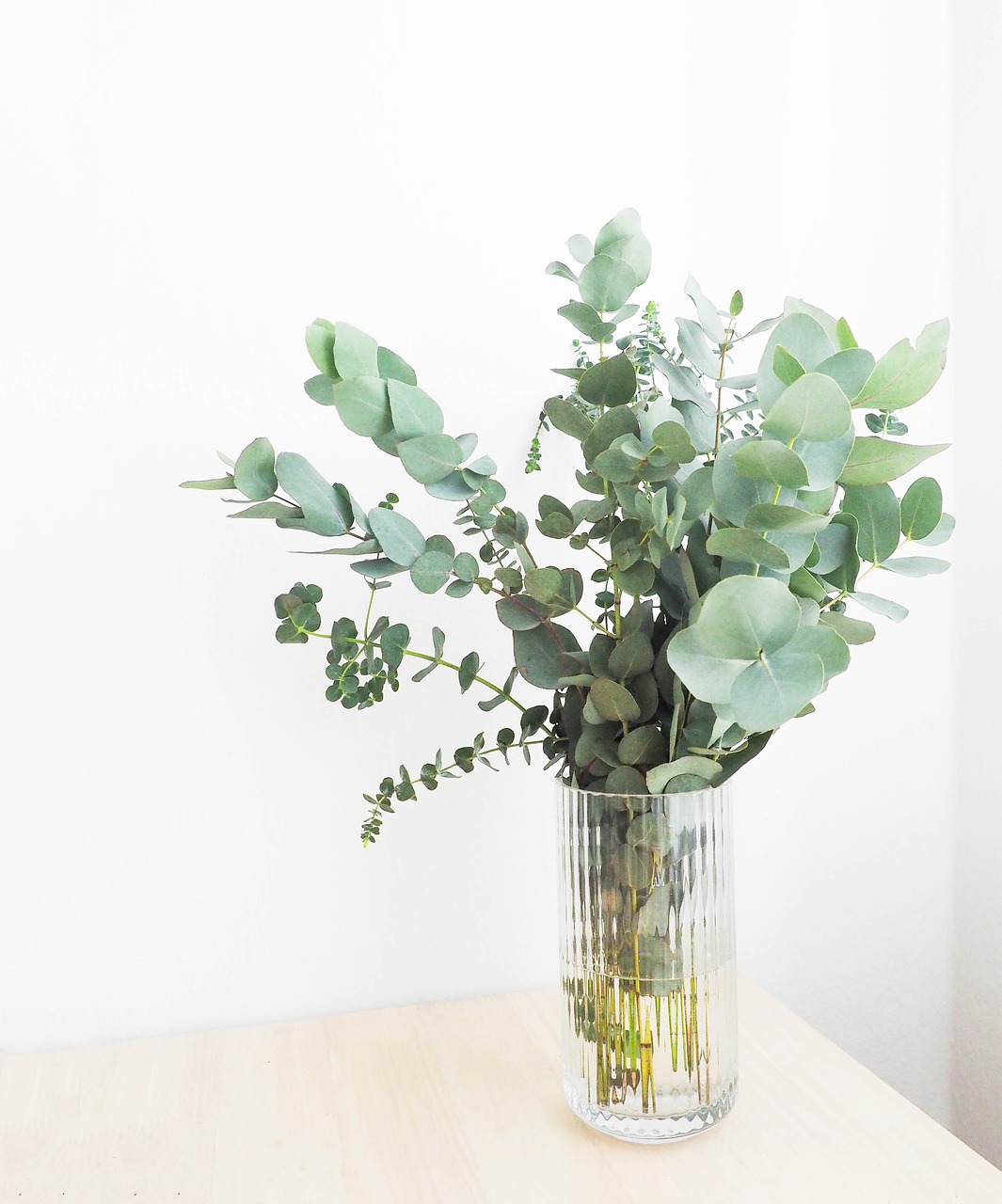 Vase mit Eukalyptus